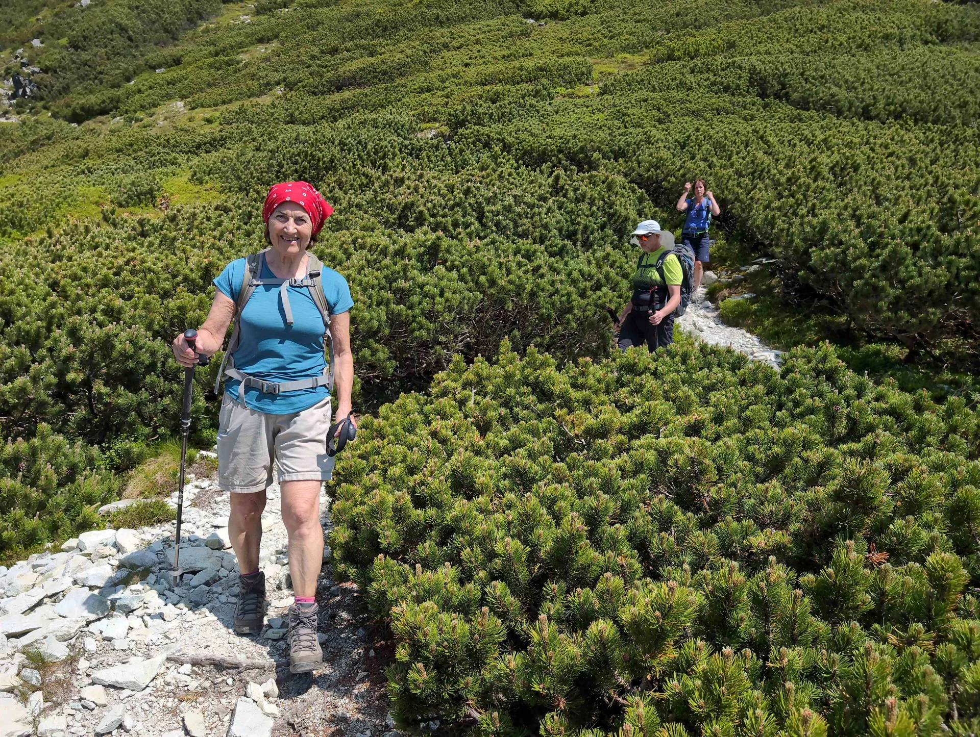 © “Abstieg von der Henne zum Wildseeloder“ – Martin Götz