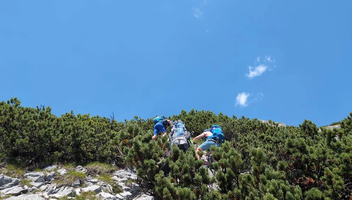 © „In den Latschen“ – Martin Götz