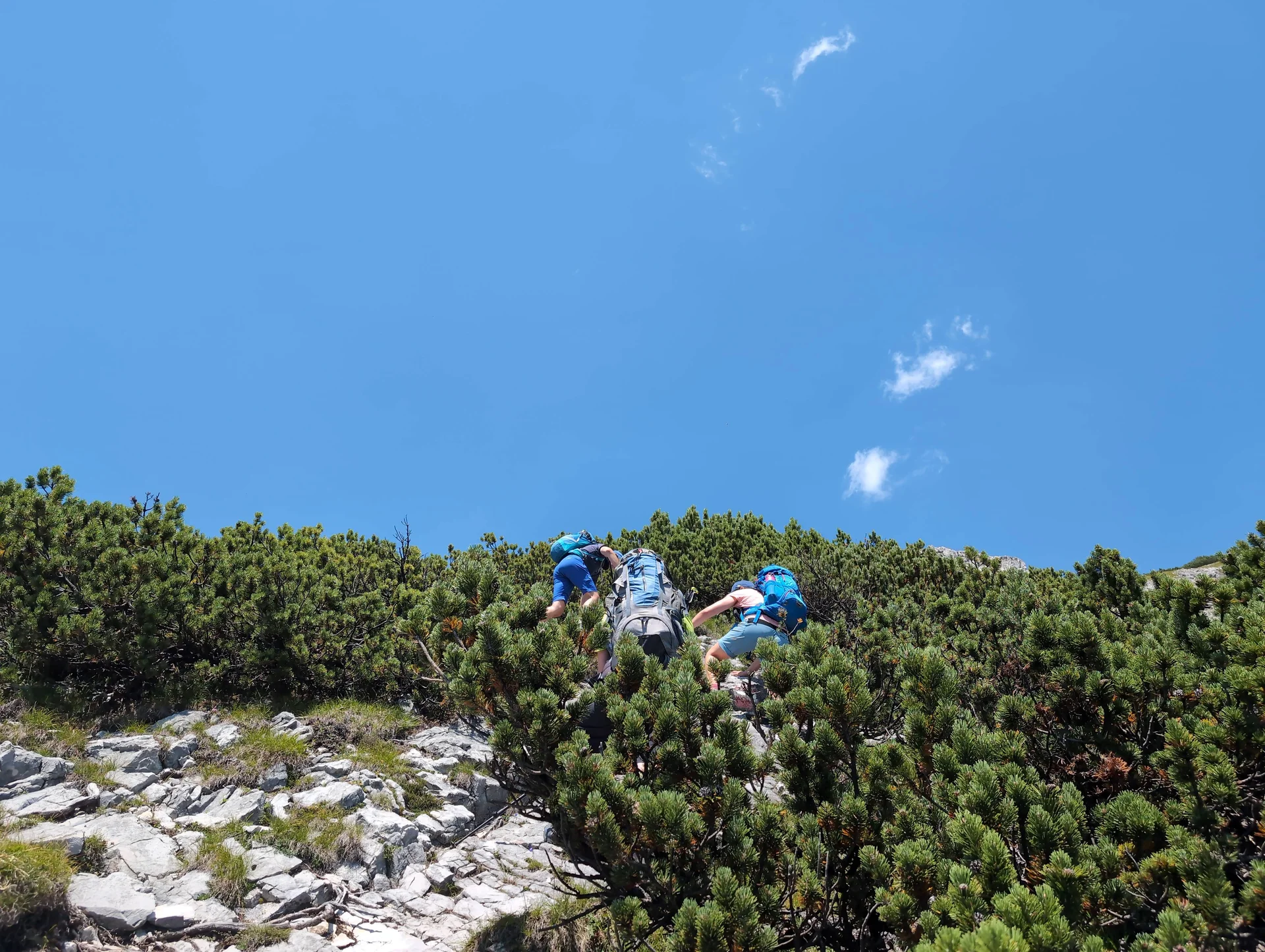 © „In den Latschen“ – Martin Götz