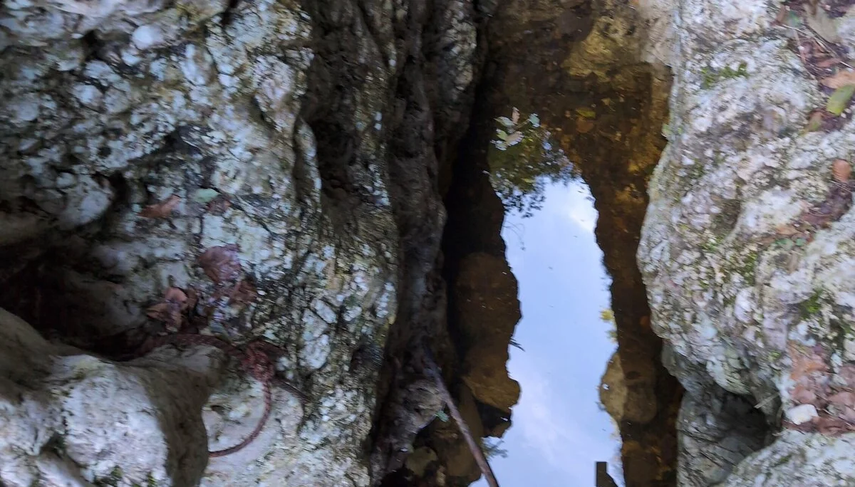 © „Doch noch eine Wasserlacke im sonst trockenen Bachbett“ –Martin Götz