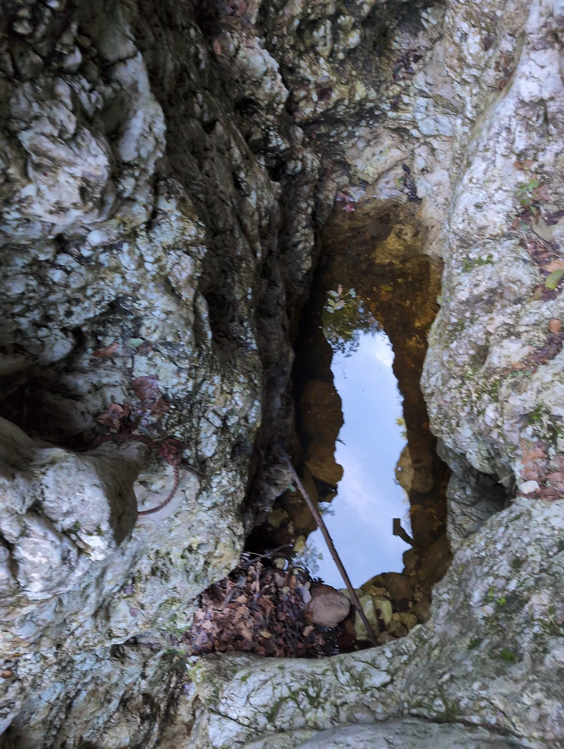 © „Doch noch eine Wasserlacke im sonst trockenen Bachbett“ –Martin Götz
