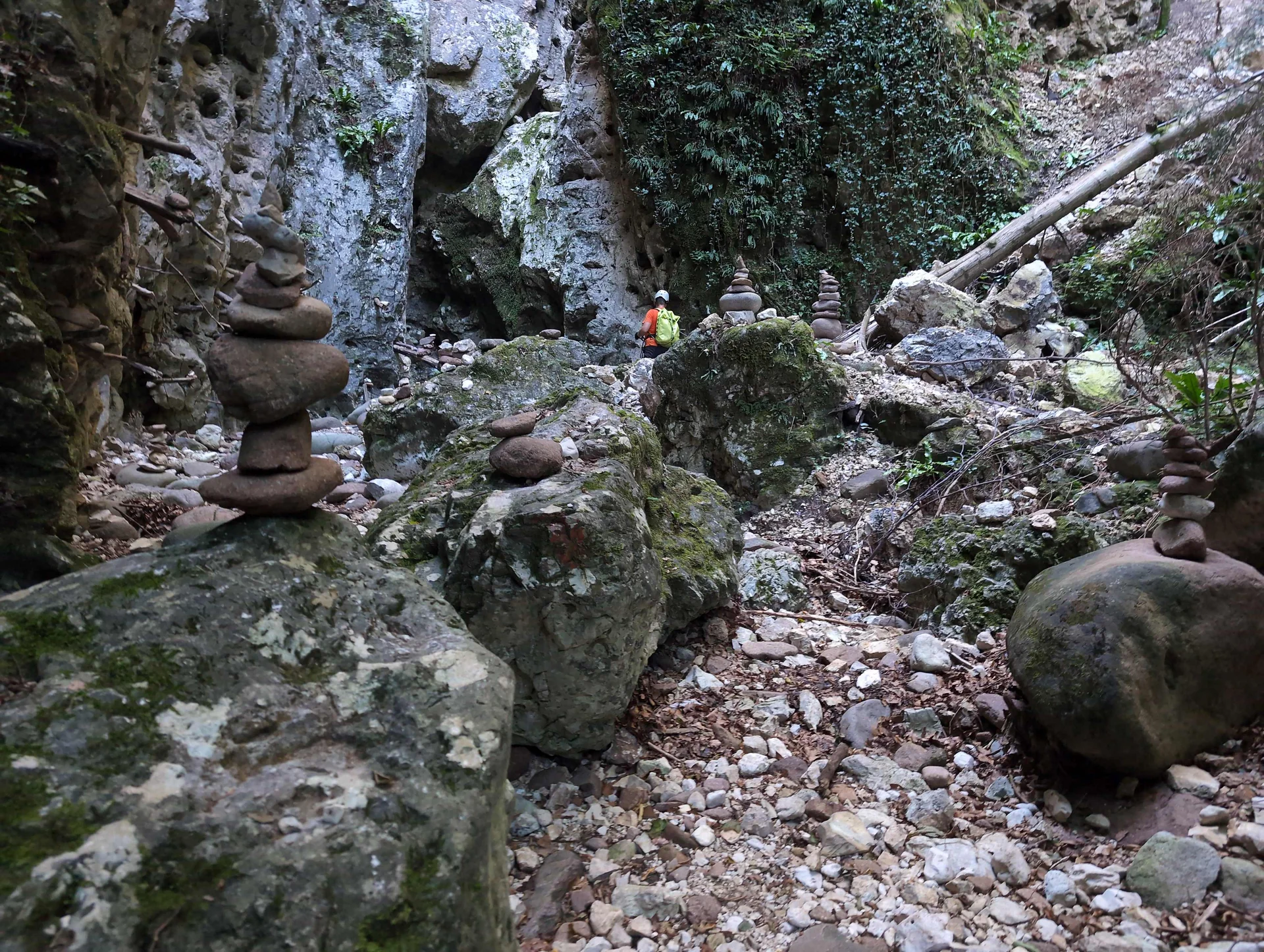 © „Im Wald der Steinmänner und -frauen“ –Martin Götz