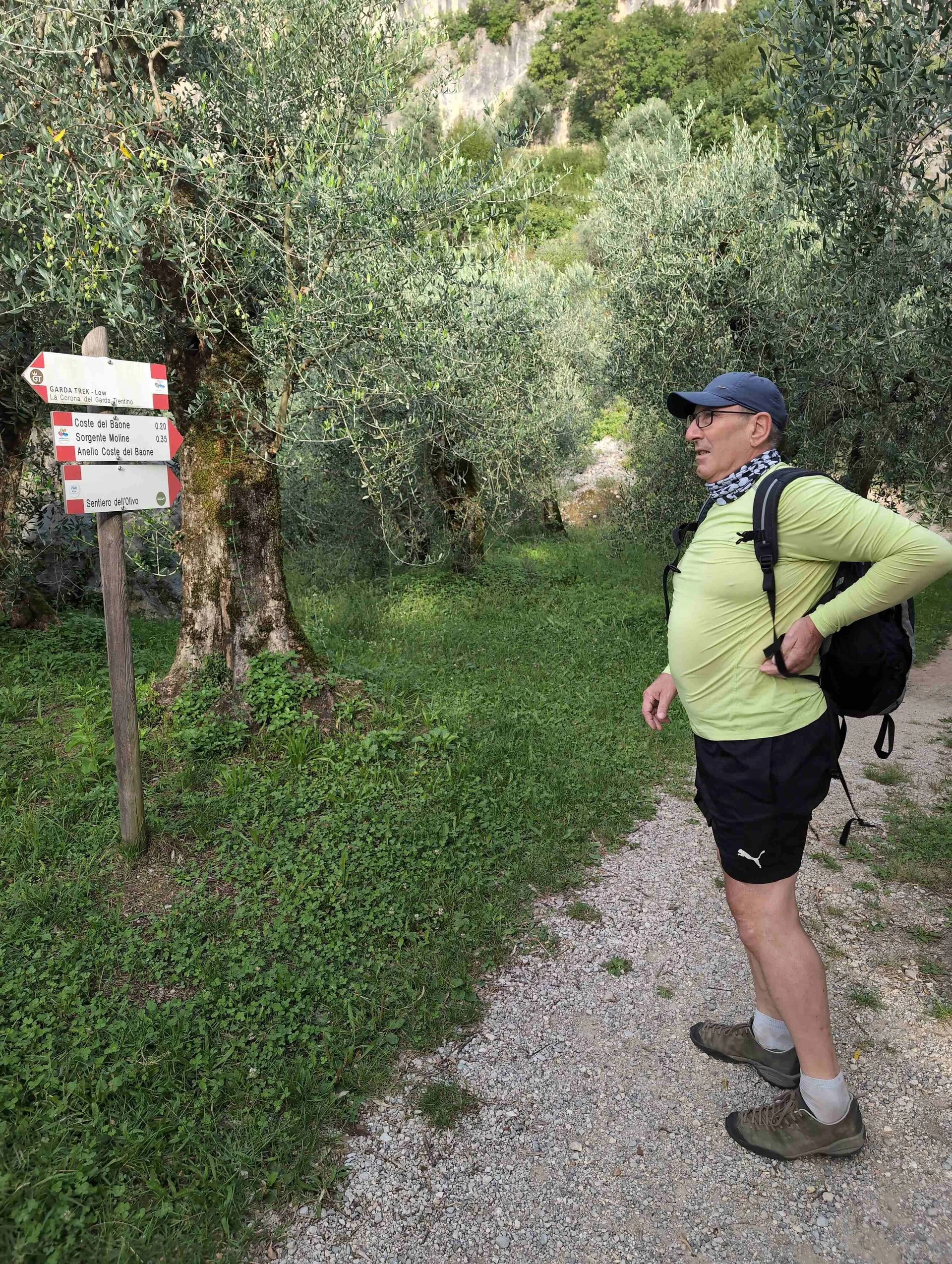 © „Zustieg durch Olivenhaine“ –Martin Götz