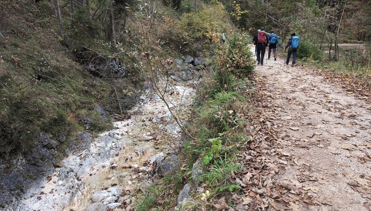 Klettersteig Berchtesgadener Hochthron | © DAV Gangkofen\Martin Götz - Auf dem Forstweg entlang des Ludlgrabens