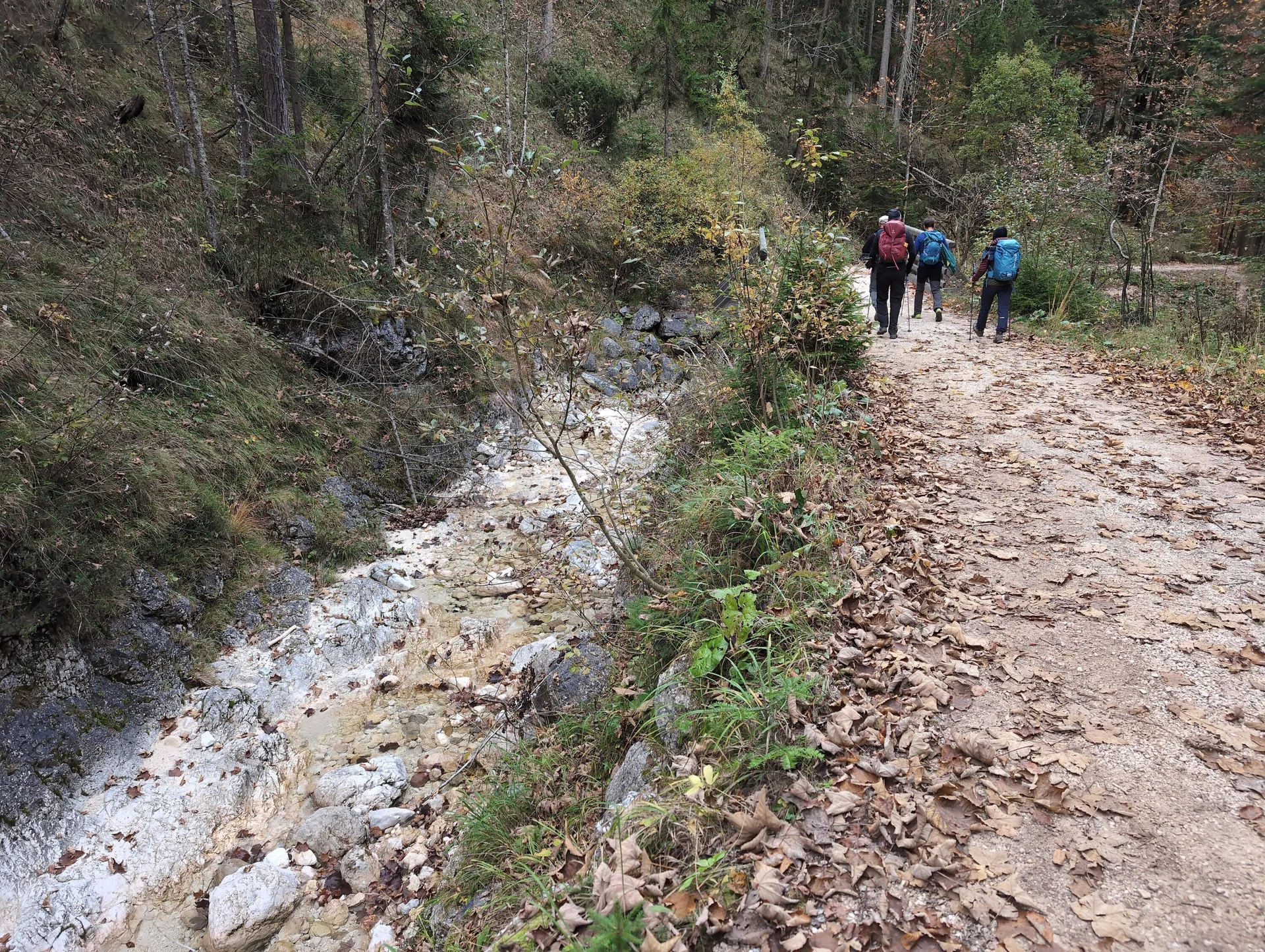 Klettersteig Berchtesgadener Hochthron | © DAV Gangkofen\Martin Götz - Auf dem Forstweg entlang des Ludlgrabens
