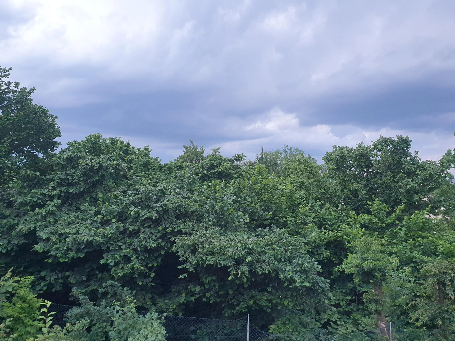 © (DAV Gangkofen) wieder daheim...