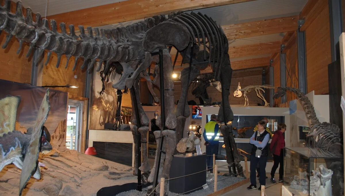 © (DAV Gangkofen) Ausstellungshalle: Brachiosaurus-Skelett; Länge 20 Meter, vor 145 Millionen Jahren