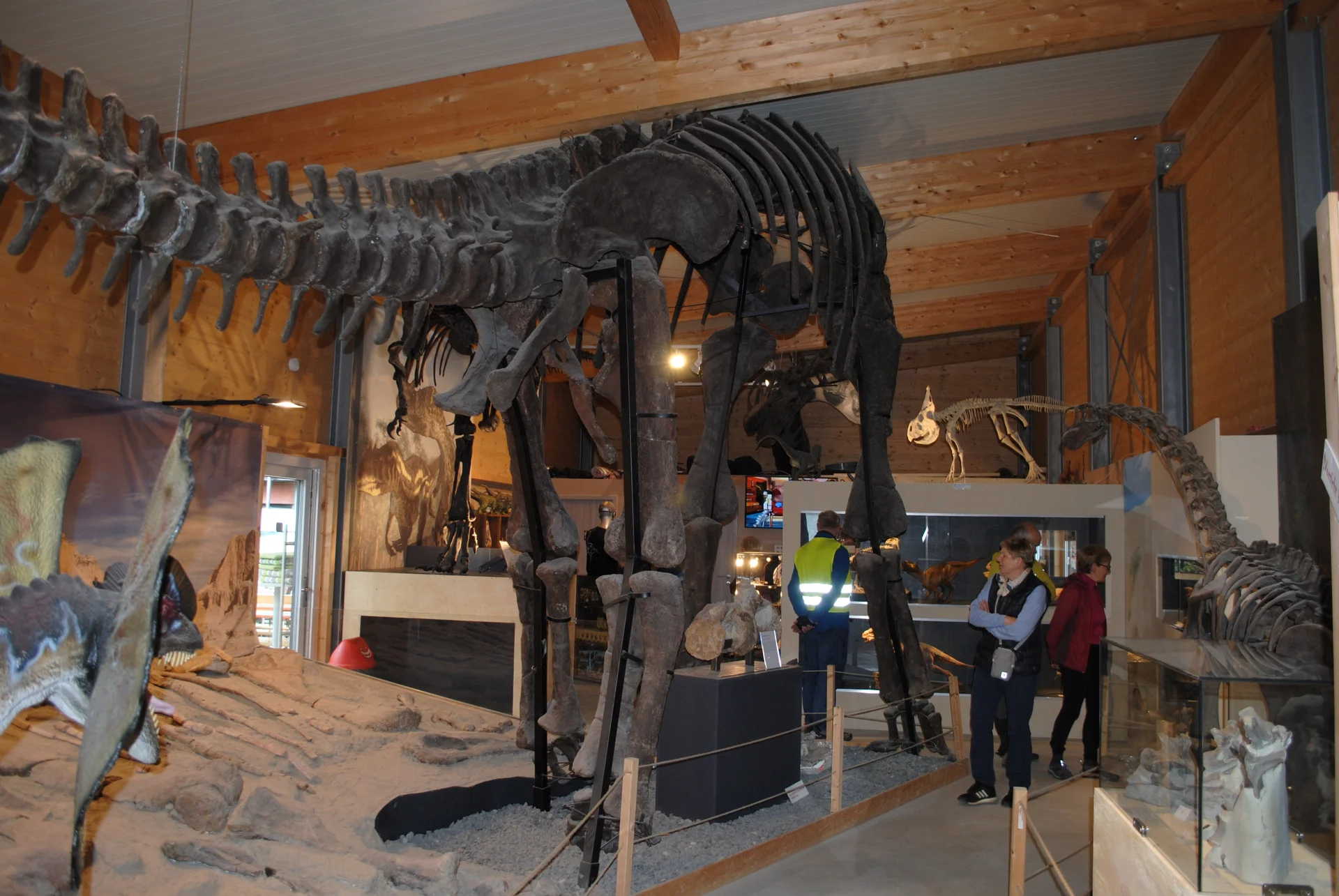 © (DAV Gangkofen) Ausstellungshalle: Brachiosaurus-Skelett; Länge 20 Meter, vor 145 Millionen Jahren