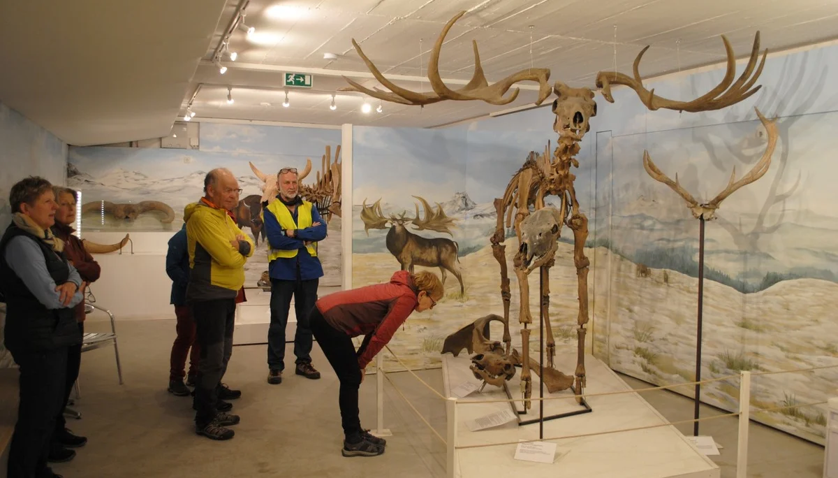 © (DAV Gangkofen) Gang durch das Museum: Urzeithirsch