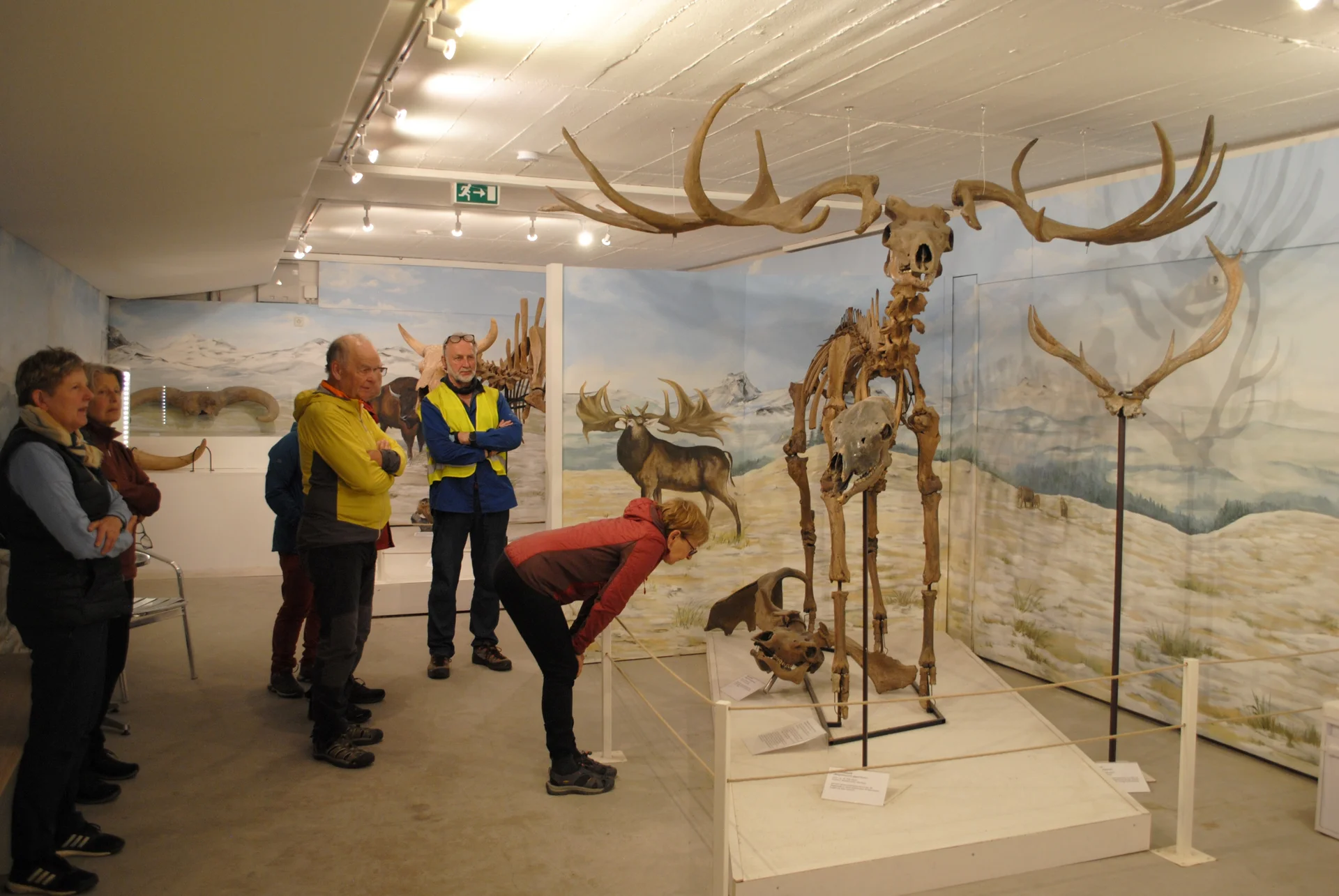 © (DAV Gangkofen) Gang durch das Museum: Urzeithirsch