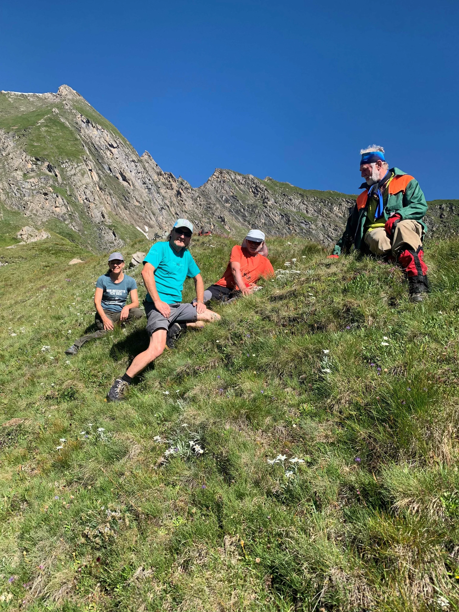 © (Klaus Mölzl) Wegmacher mit Edelweiß