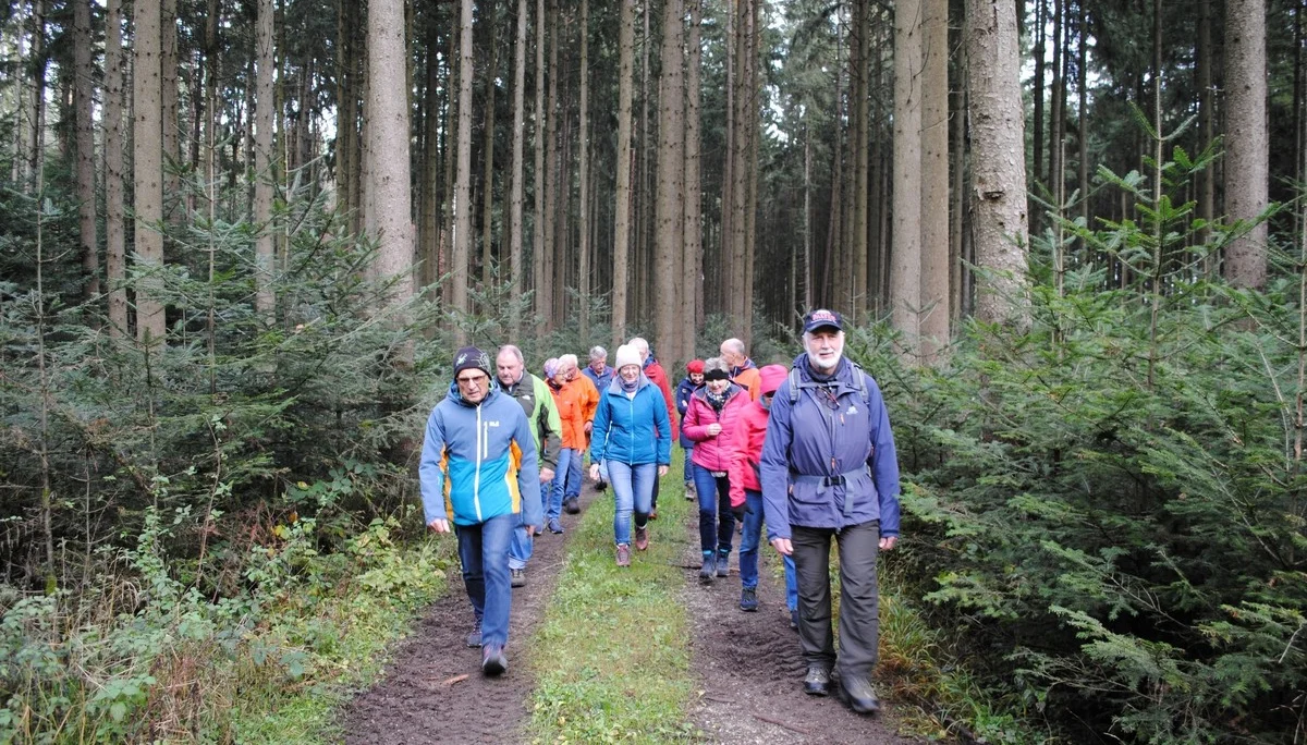 © (DAV Gangkofen) Wanderung durch üppige Tannenverjüngung