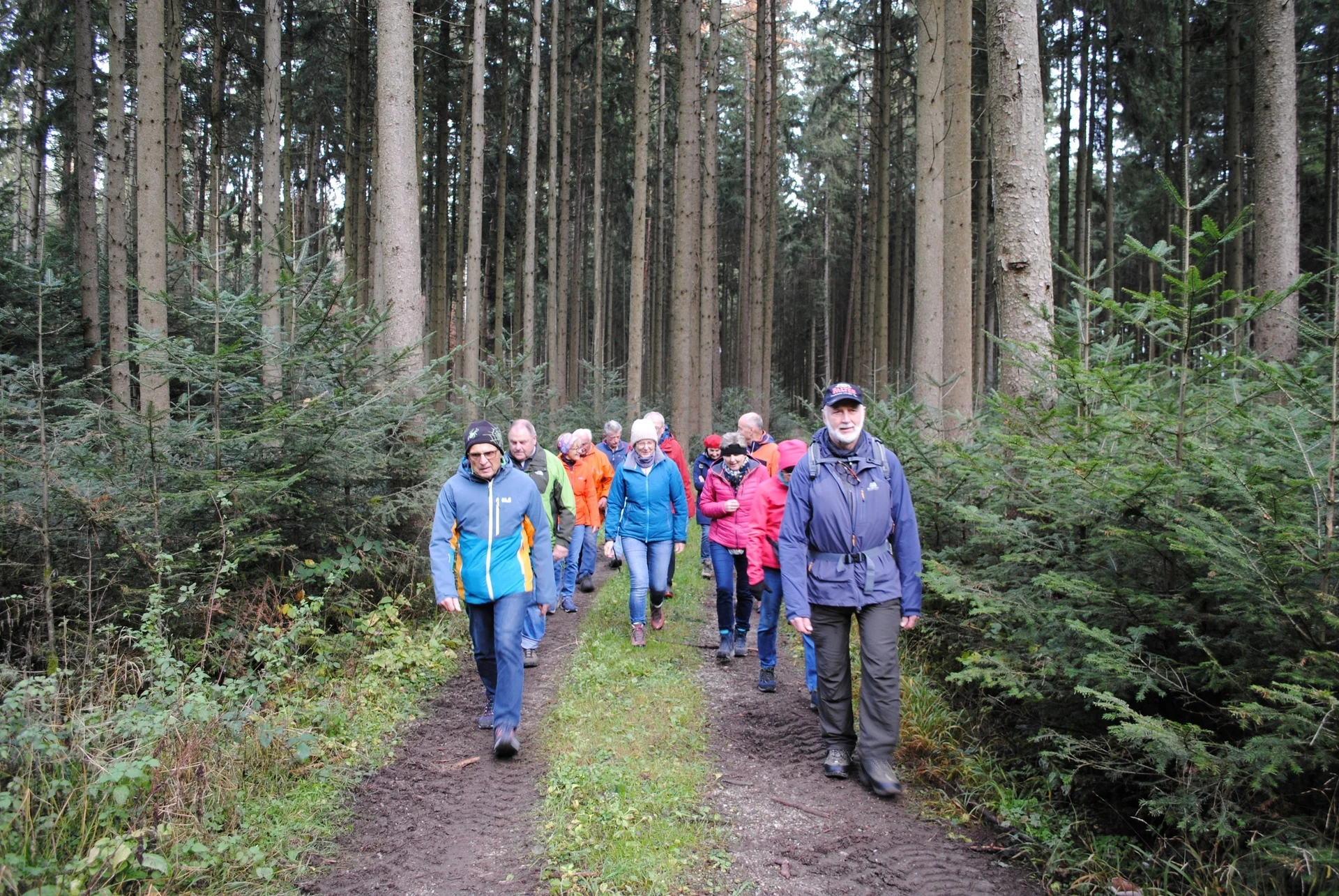 © (DAV Gangkofen) Wanderung durch üppige Tannenverjüngung