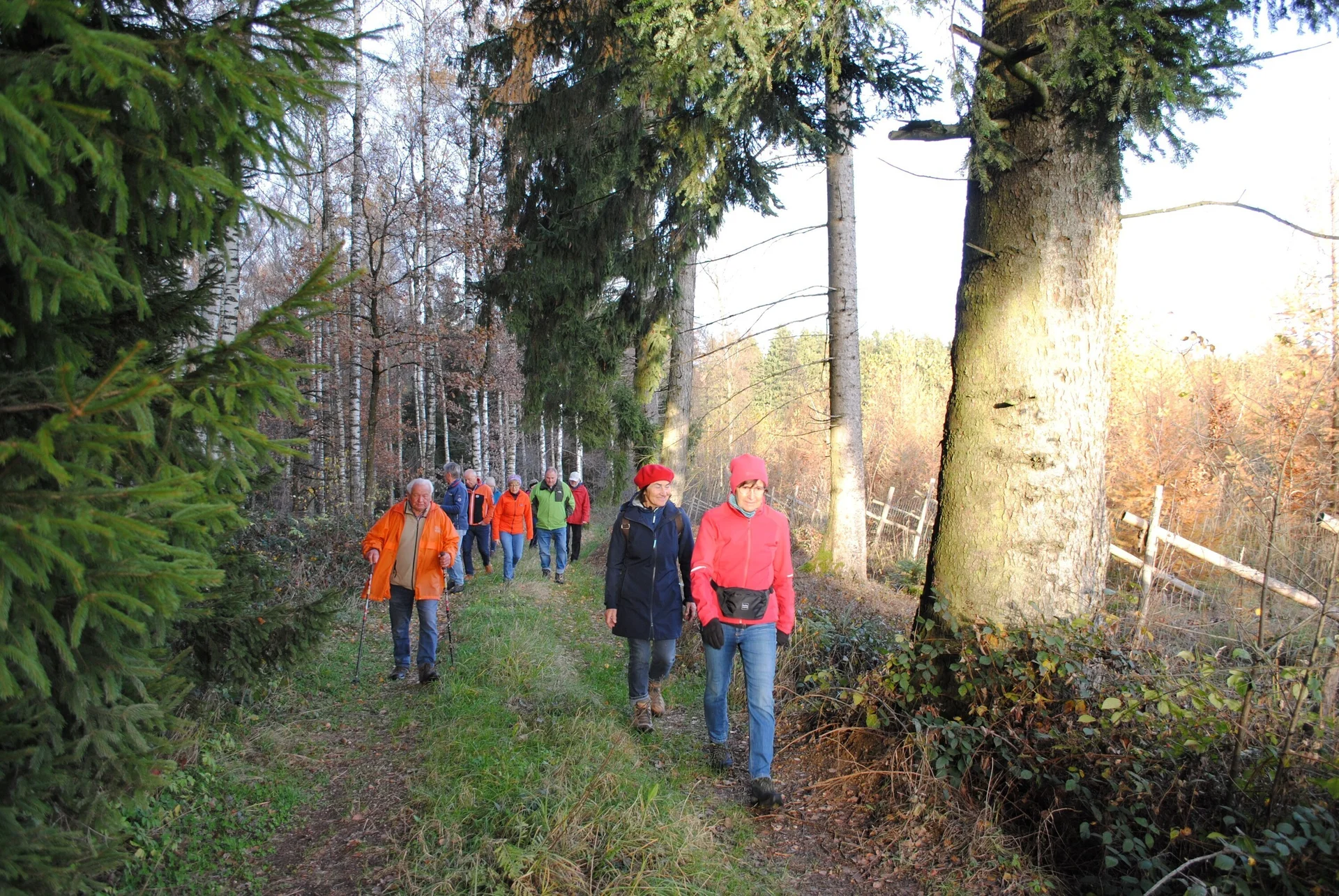 © (DAV Gangkofen) Wanderung entlang eines Birkenwaldes