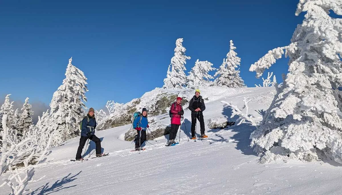 © „Richtung Arber“ – Martin Schmidt