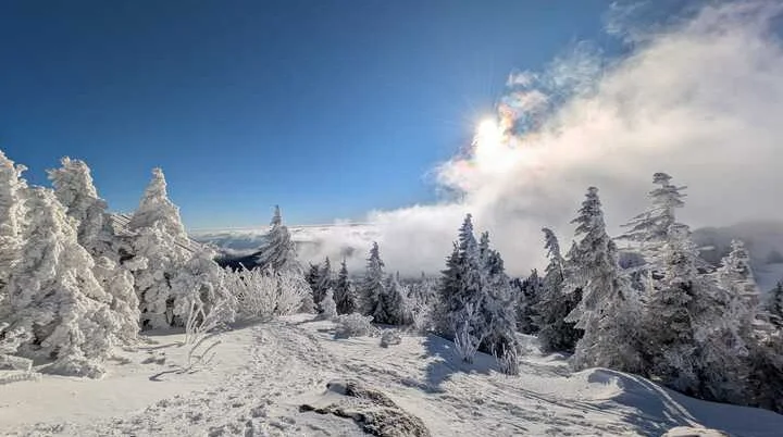 © „Bayerischer Wald vom feinsten“ – Martin Schmidt