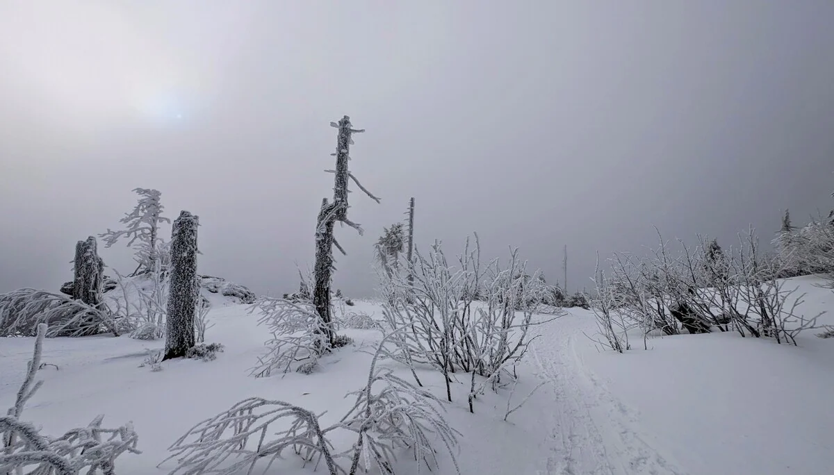 © „Noch im Nebel“ – Martin Schmidt