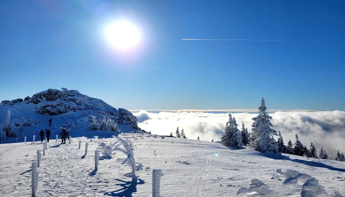 © „In der Sonne“ – Martin Schmidt