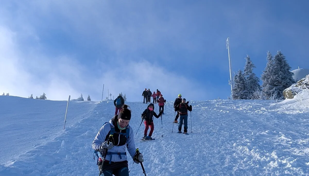 © „Abstieg zum Arber Schutzhaus“ – Martin Schmidt