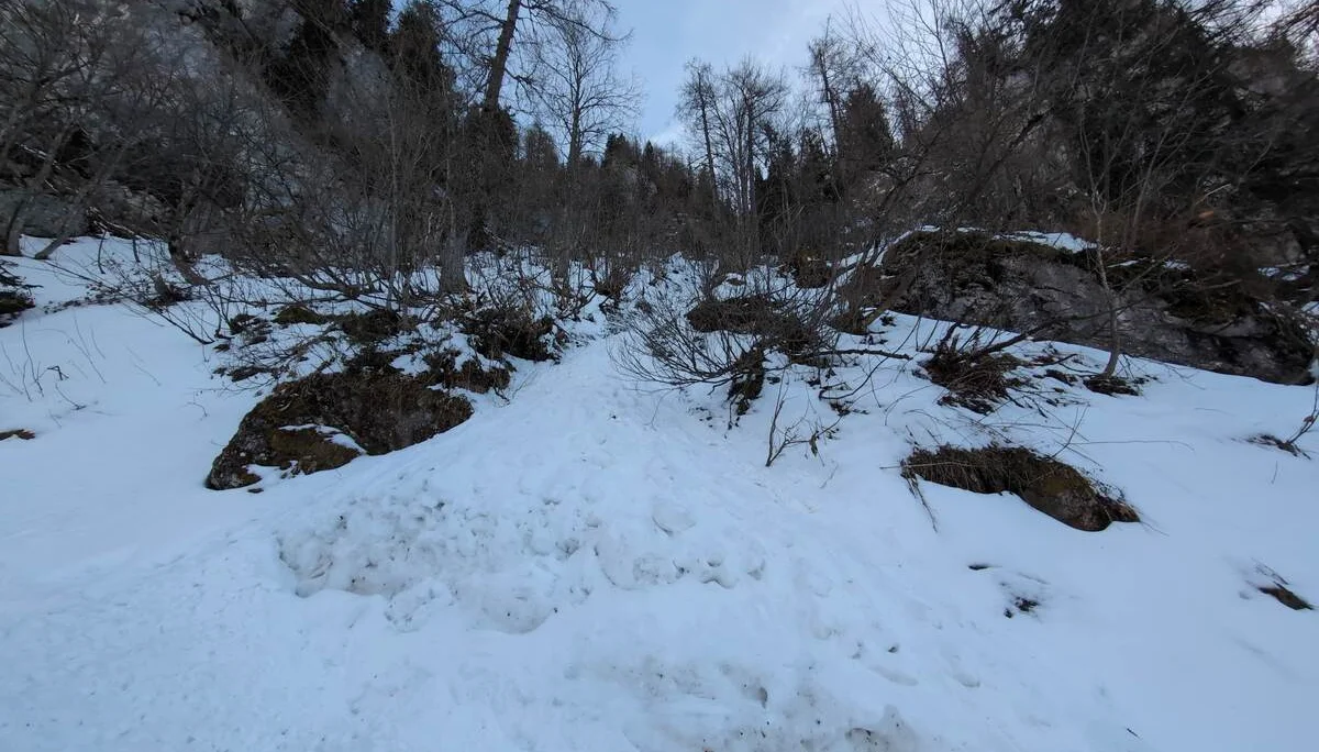 © (DAV Gangkofen) Kleine Lawine aus einer Rinne oberhalb des Ziehwegs