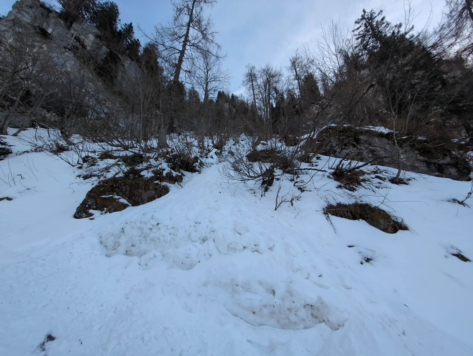 © (DAV Gangkofen) Kleine Lawine aus einer Rinne oberhalb des Ziehwegs