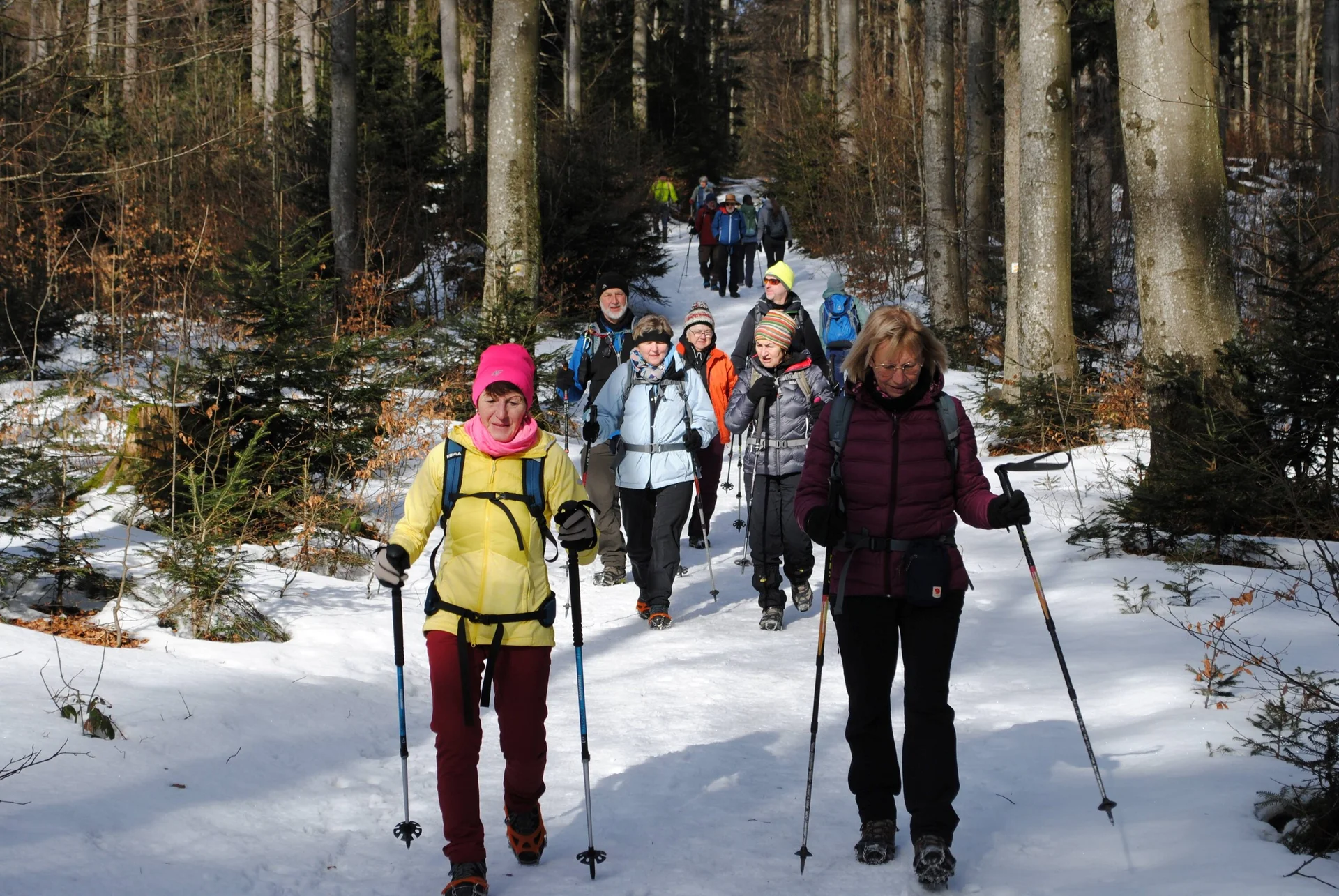 © (DAV Gangkofen) Auf dem Goldsteig