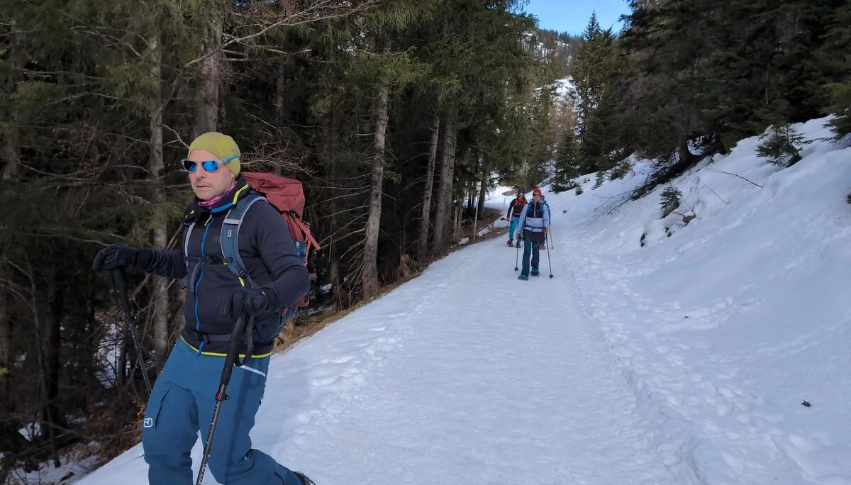 © (DAV Gangkofen) Abstieg über den Forstweg