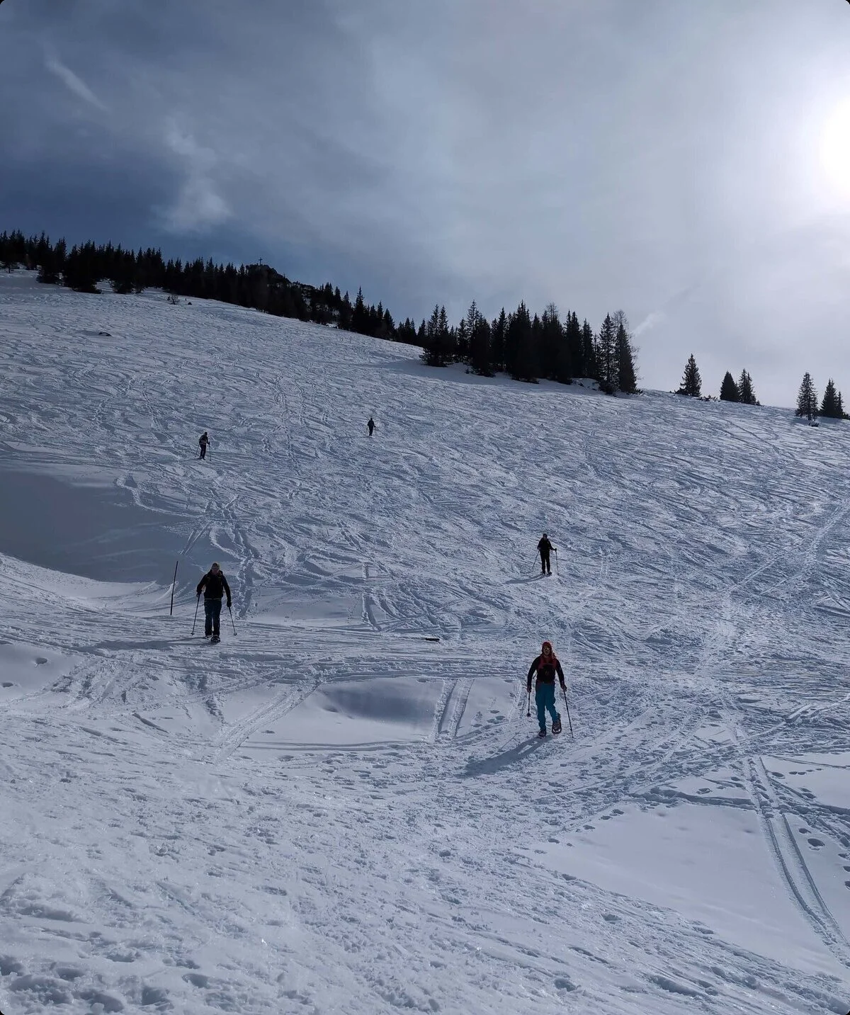 © (DAV Gangkofen) Auf direktem Weg den Gipfelhang hinab