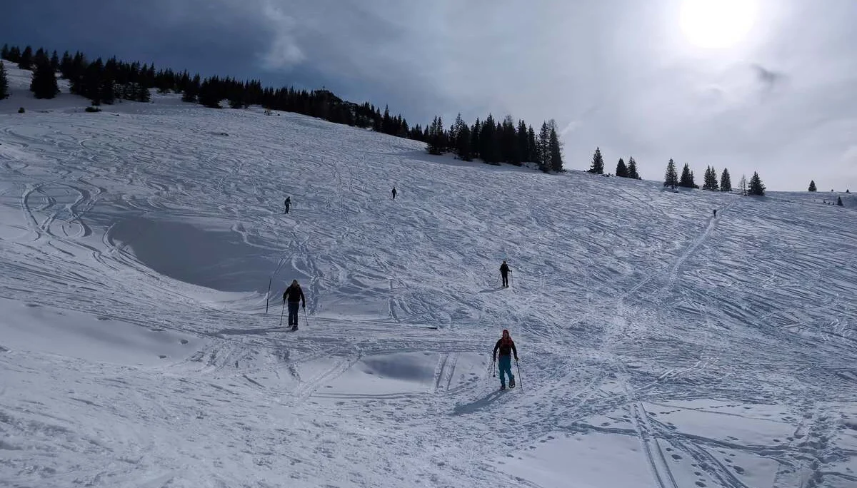 © (DAV Gangkofen) Auf direktem Weg den Gipfelhang hinab