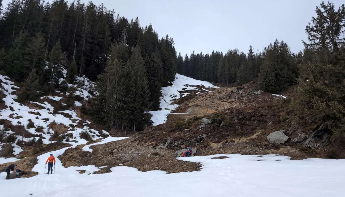 © (Martin Götz) Auf der Suche nach Schnee