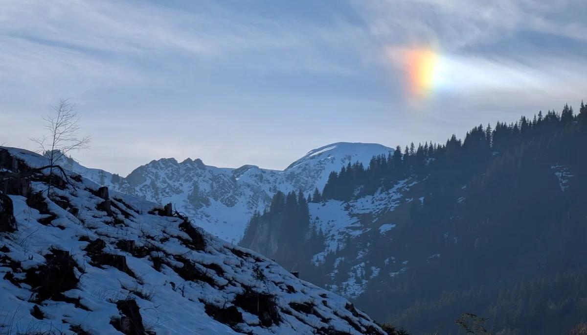 © (Martin Götz) Halo