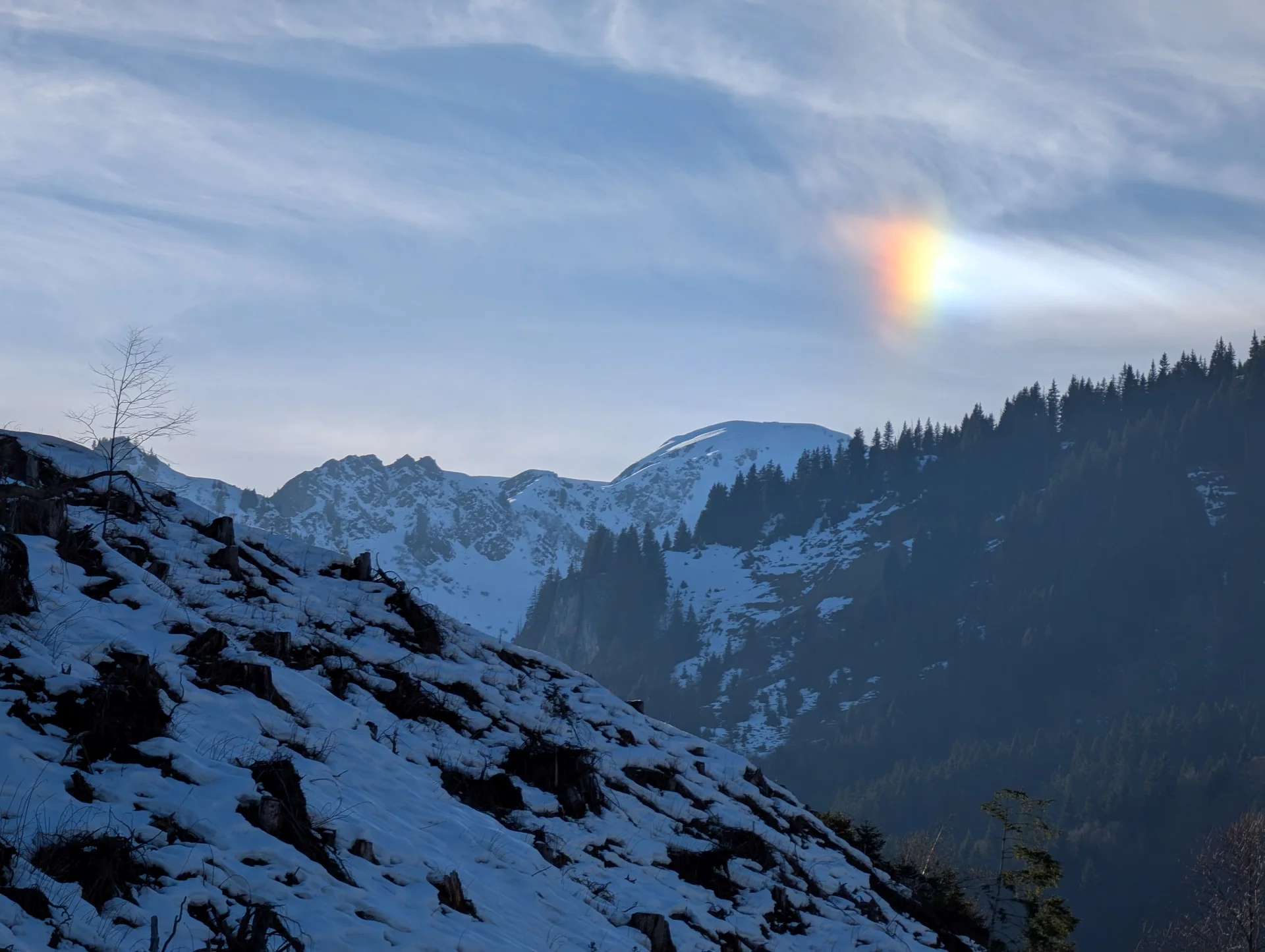 © (Martin Götz) Halo