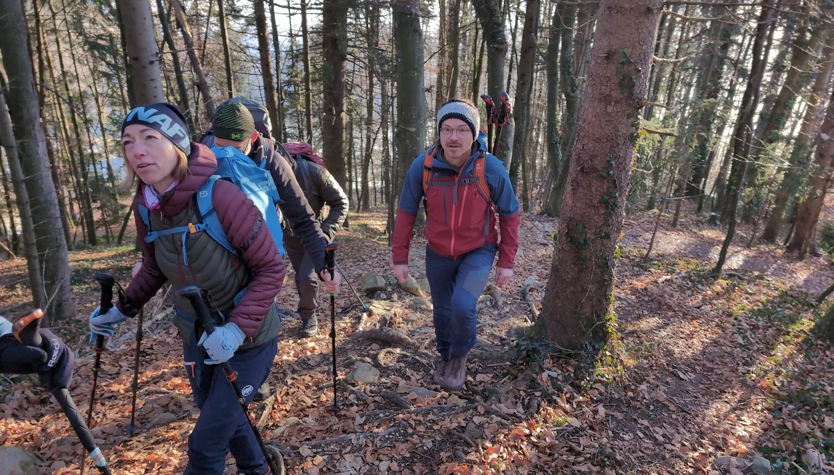 Bergwanderung Teisenberg | © DAV Gangkofen/Martin Götz - Aufstieg auf dem bewaldeten Rücken