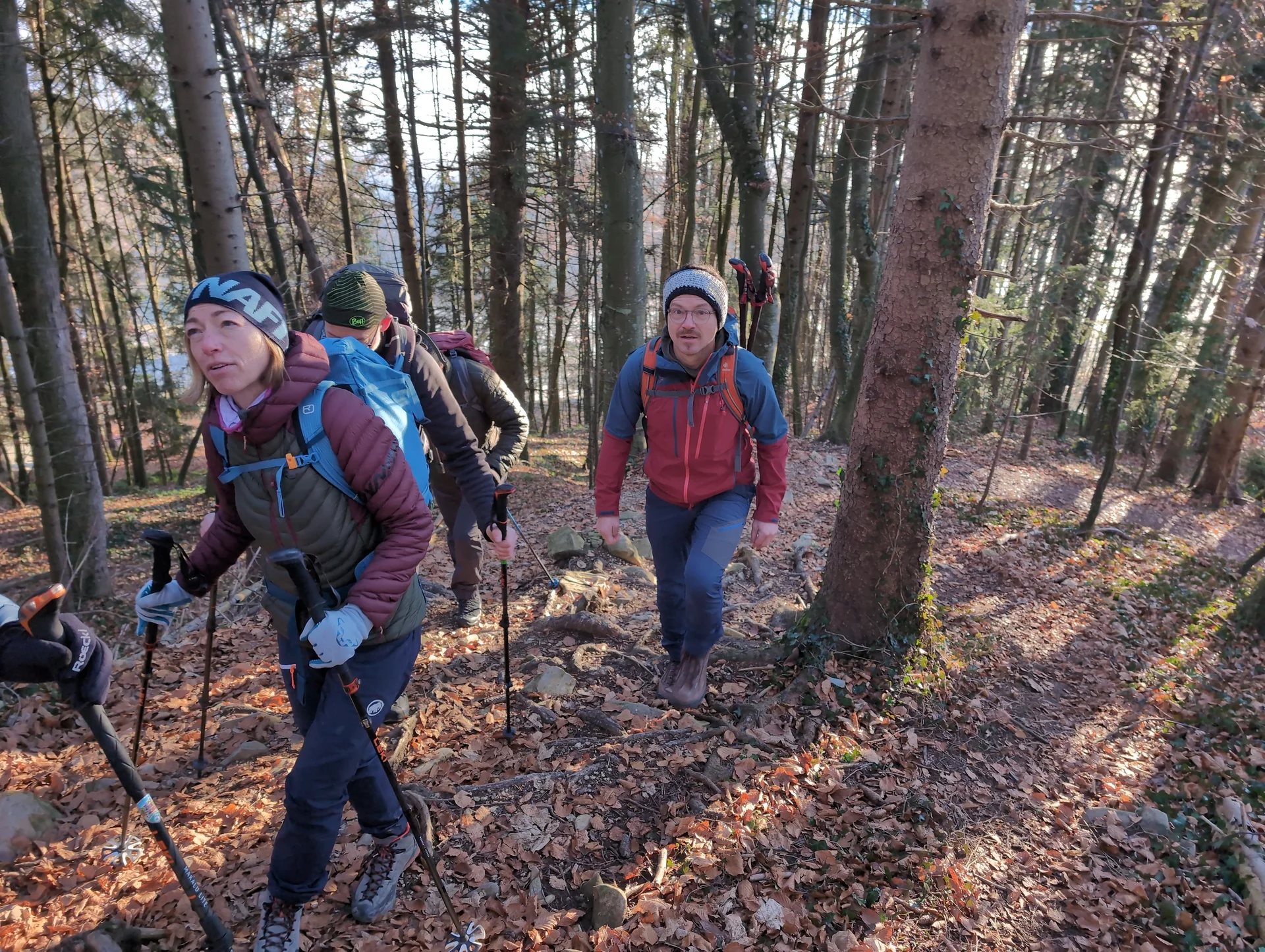 Bergwanderung Teisenberg | © DAV Gangkofen/Martin Götz - Aufstieg auf dem bewaldeten Rücken
