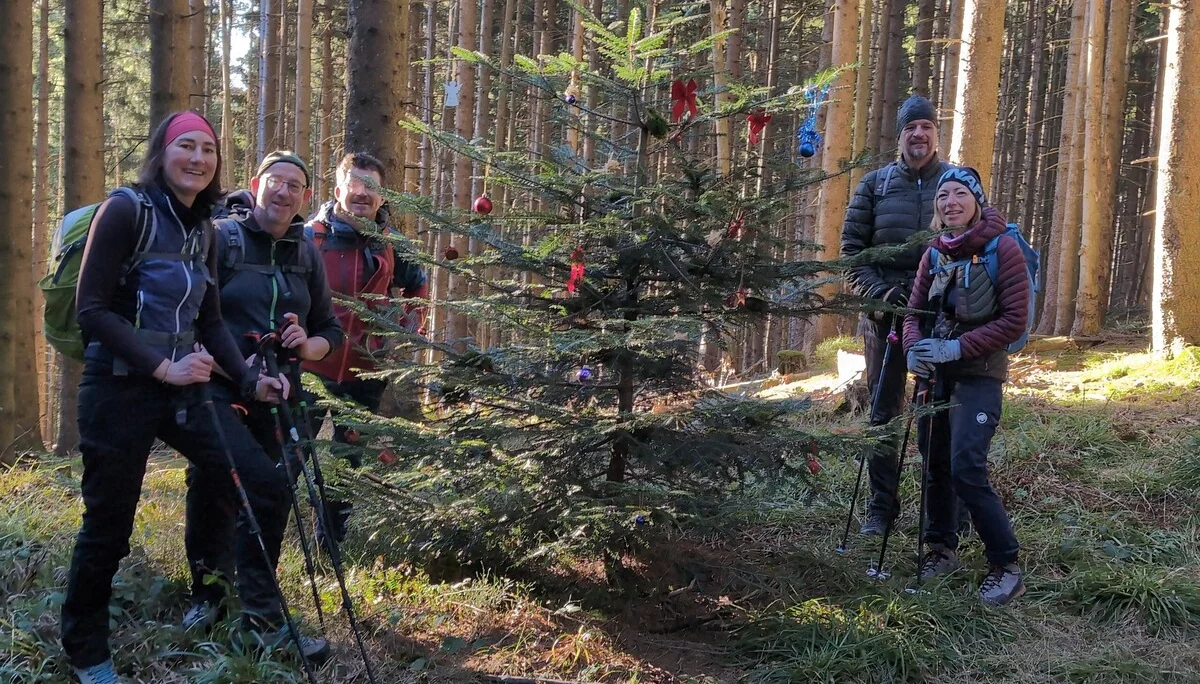 Bergwanderung Teisenberg | © DAV Gangkofen/Martin Götz - Dekorierter Weihnachtsbaum auf halbem Wege