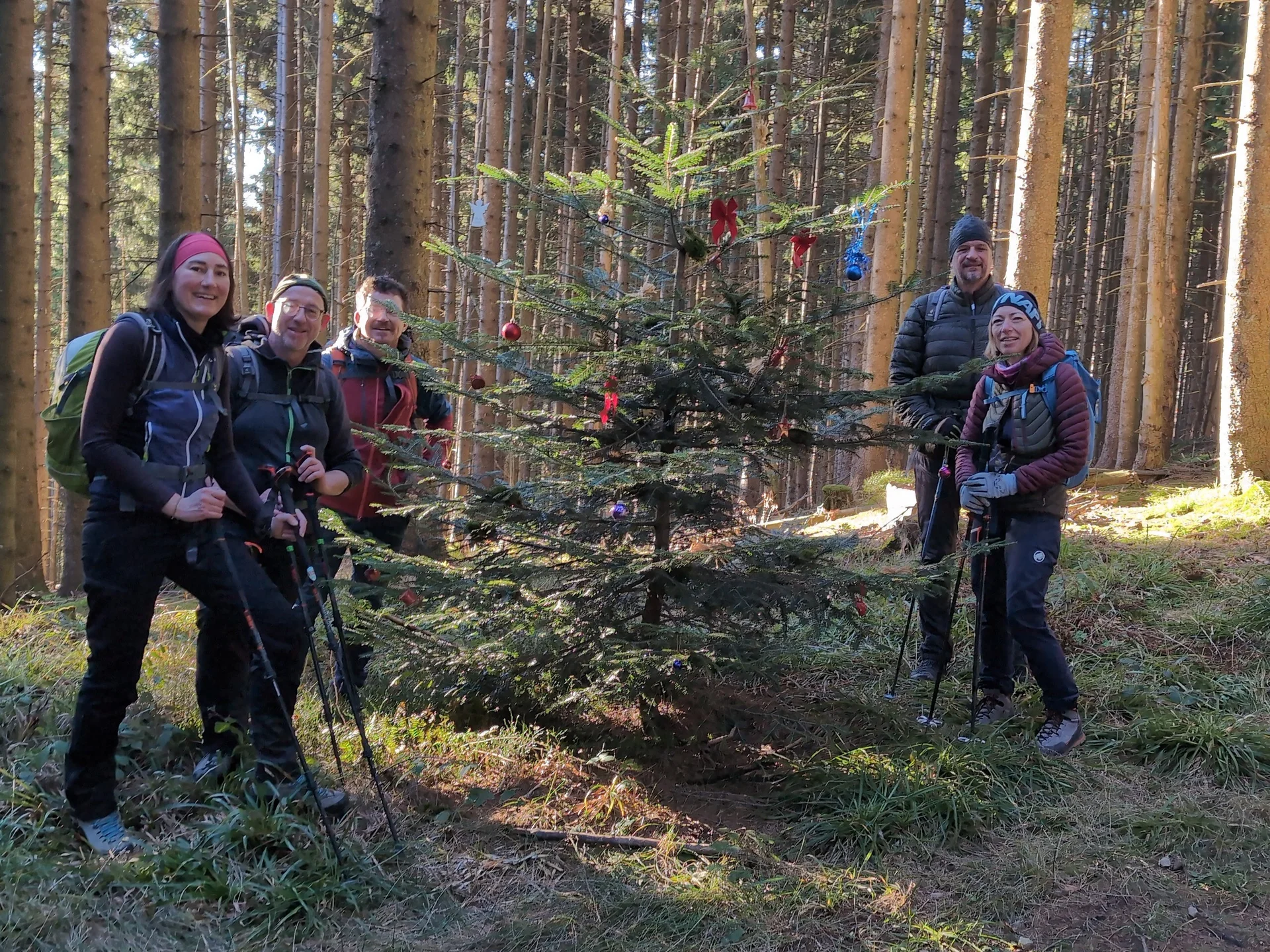Bergwanderung Teisenberg | © DAV Gangkofen/Martin Götz - Dekorierter Weihnachtsbaum auf halbem Wege