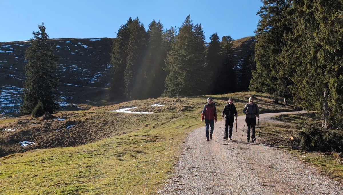 Bergwanderung Teisenberg | © DAV Gangkofen/Martin Götz - Rückweg über Forstweg