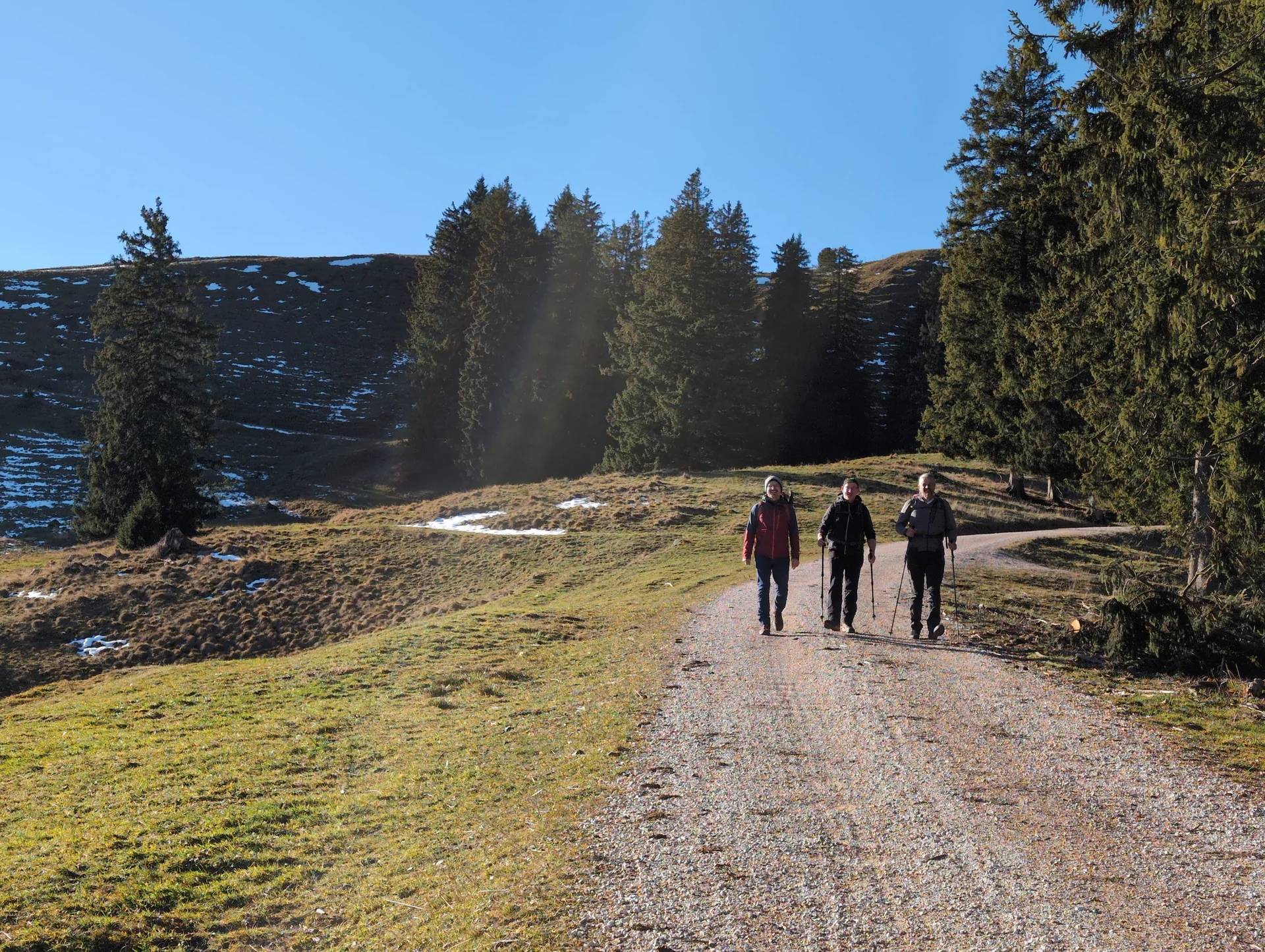 Bergwanderung Teisenberg | © DAV Gangkofen/Martin Götz - Rückweg über Forstweg