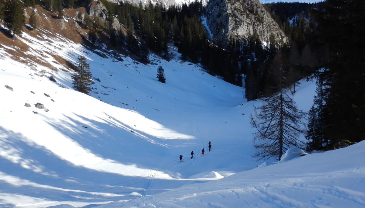 © (DAV-Gangkofen) Aufstieg über die Königsbachalmen
