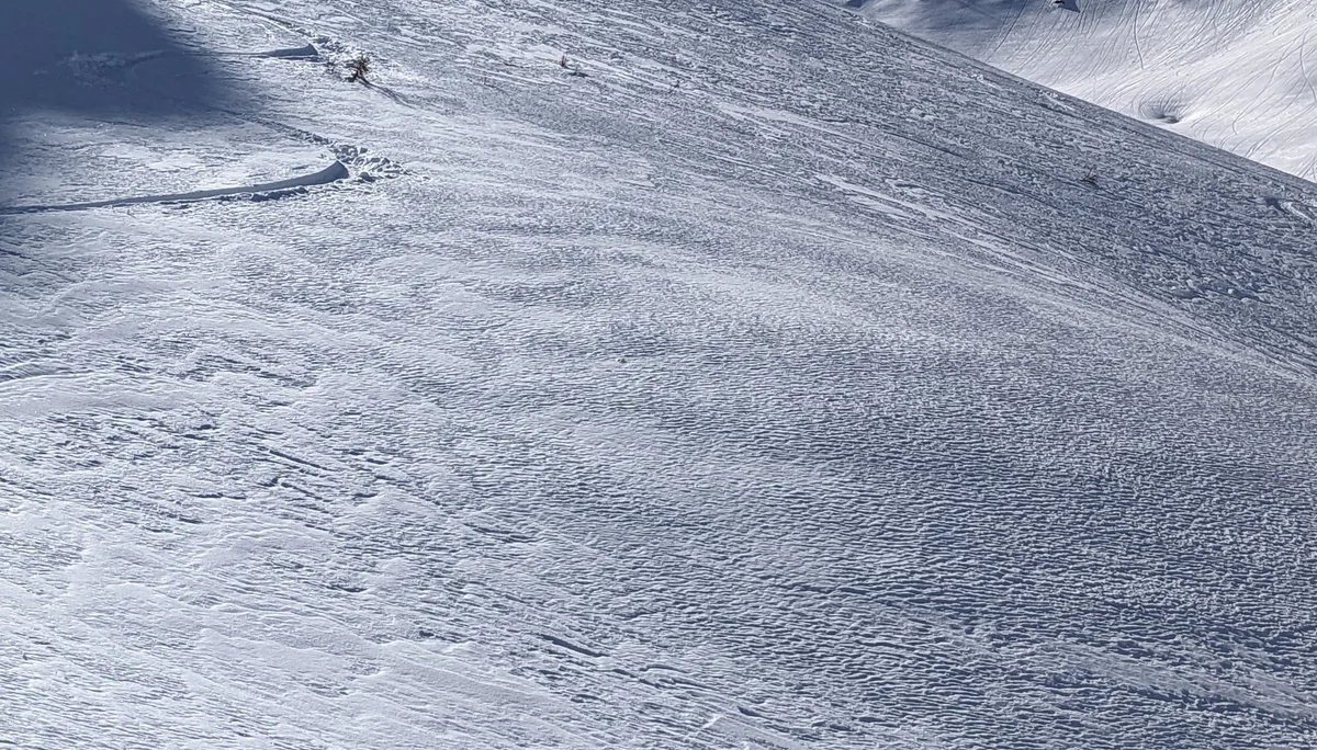 © DAV-Gangkofen - Pulverschnee-Hang