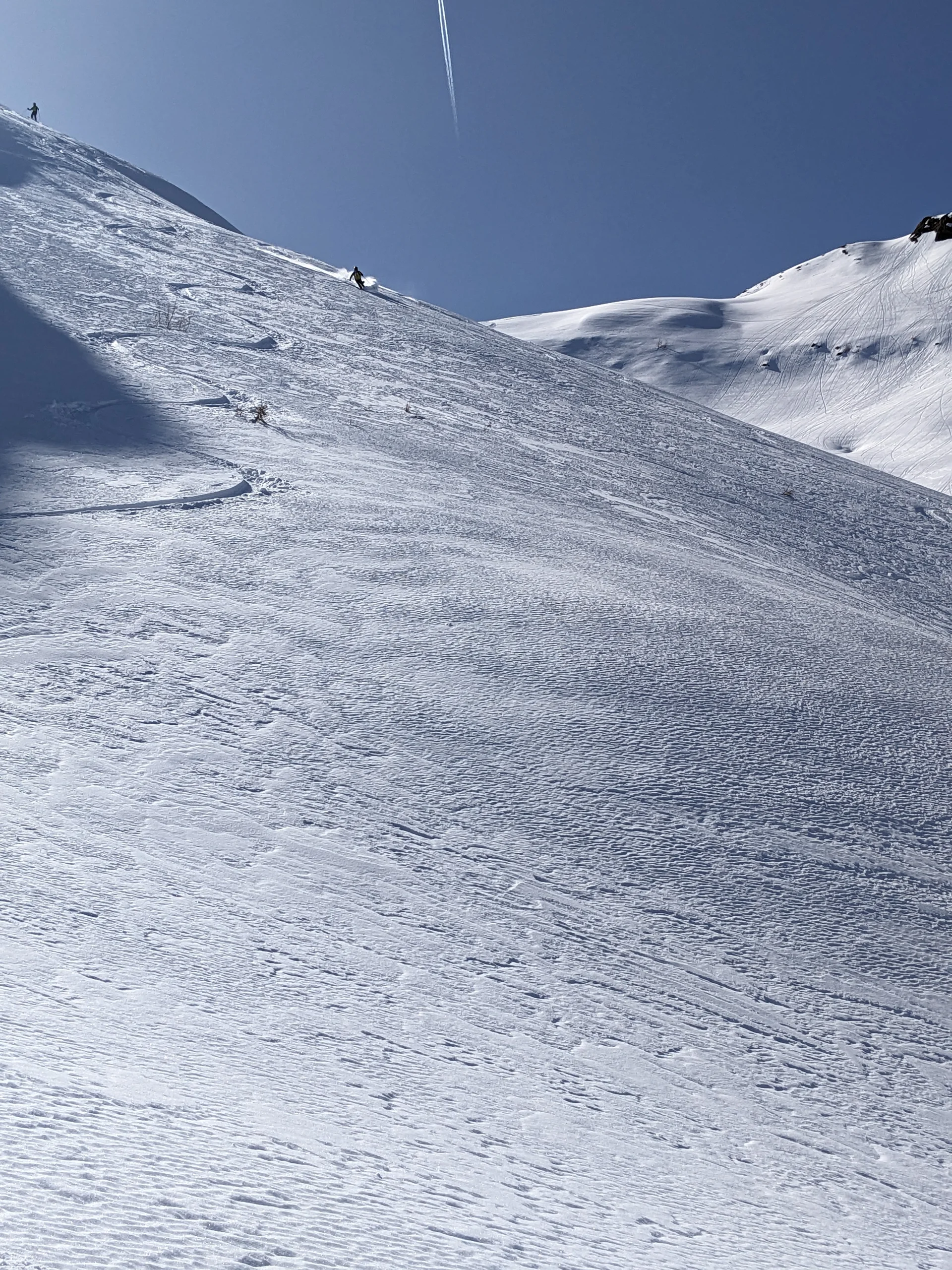 © DAV-Gangkofen - Pulverschnee-Hang