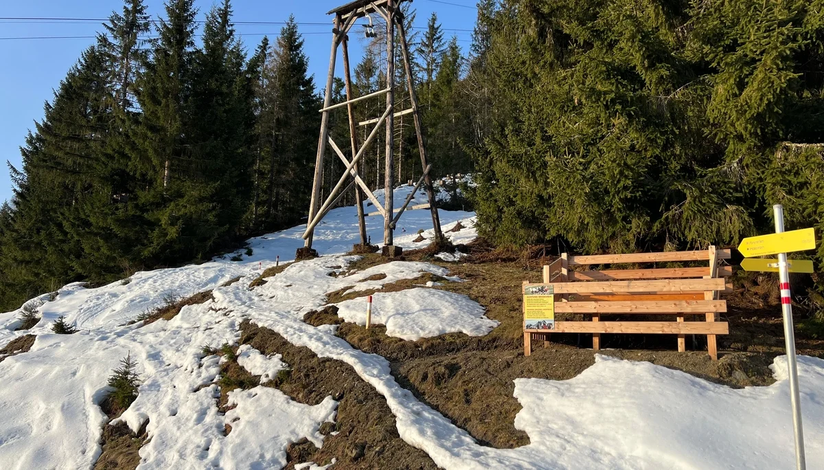 © DAV-Gangkofen - Start mit Ski