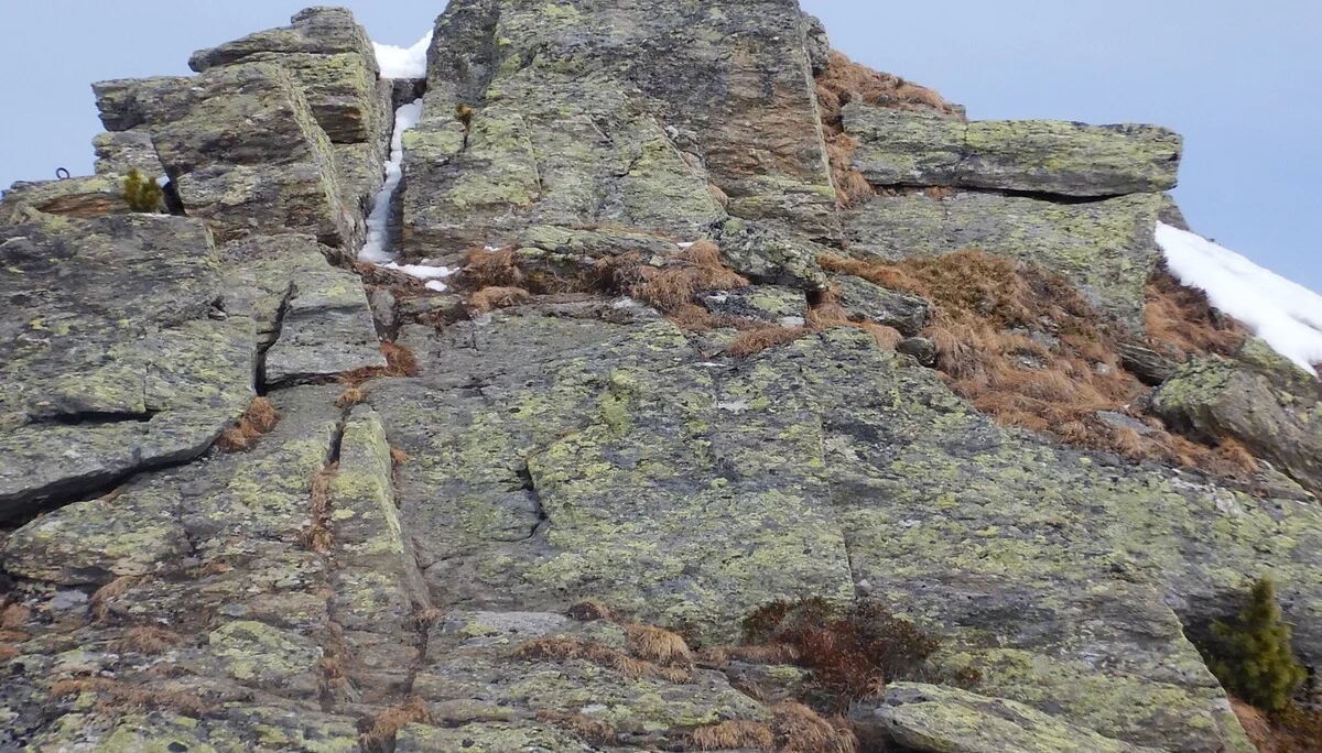 © DAV-Gangkofen (die letzten Meter zum Tristkopf)