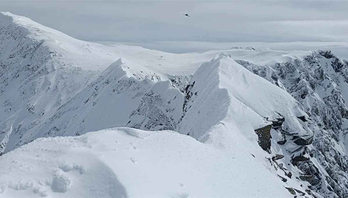© (DAV-Gangkofen) - Blick vom Westlichen Daunkogel (3301) über den Grat zum Daunkogel