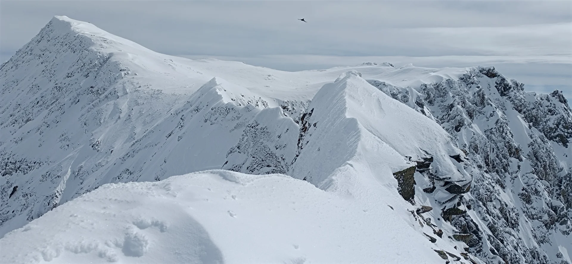 © (DAV-Gangkofen) - Blick vom Westlichen Daunkogel (3301) über den Grat zum Daunkogel