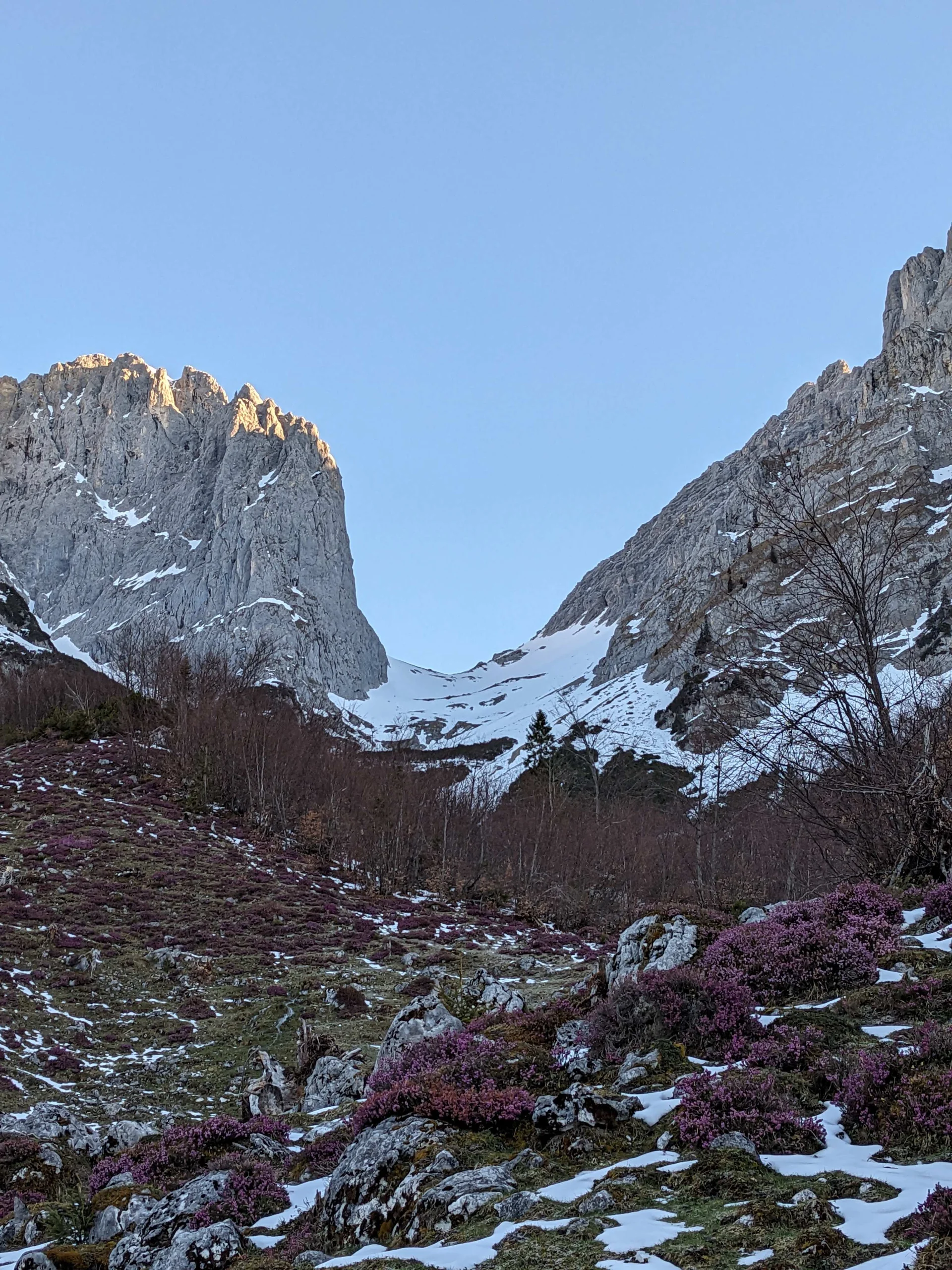 © (DAV Gangkofen) Das ursprüngliche Ziel: Ellmauer Tor - spärliche Schneereste