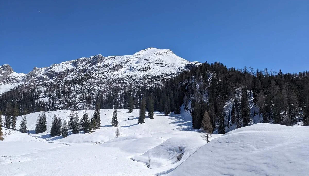 © (DAV Gangkofen) Rückblick zum Seehorn