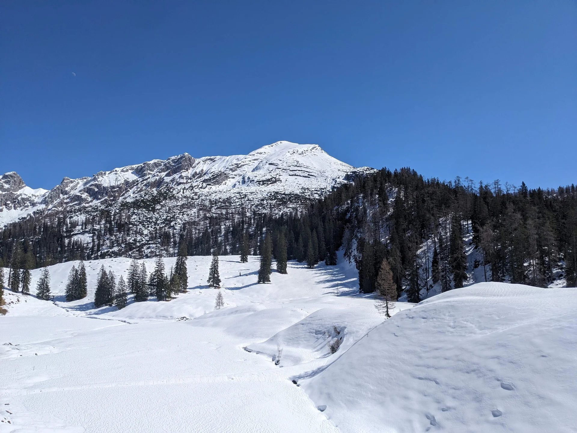 © (DAV Gangkofen) Rückblick zum Seehorn