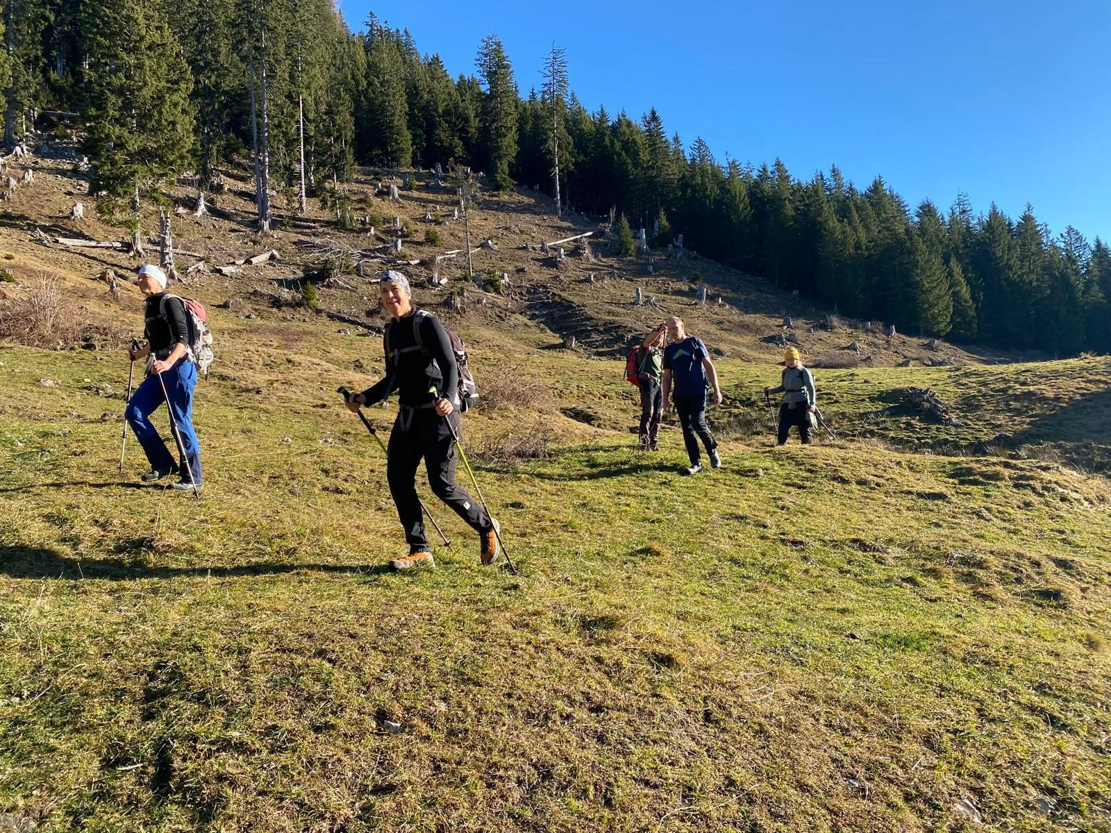 © (DAV Gangkofen) Auf dem Weg zu den Almen