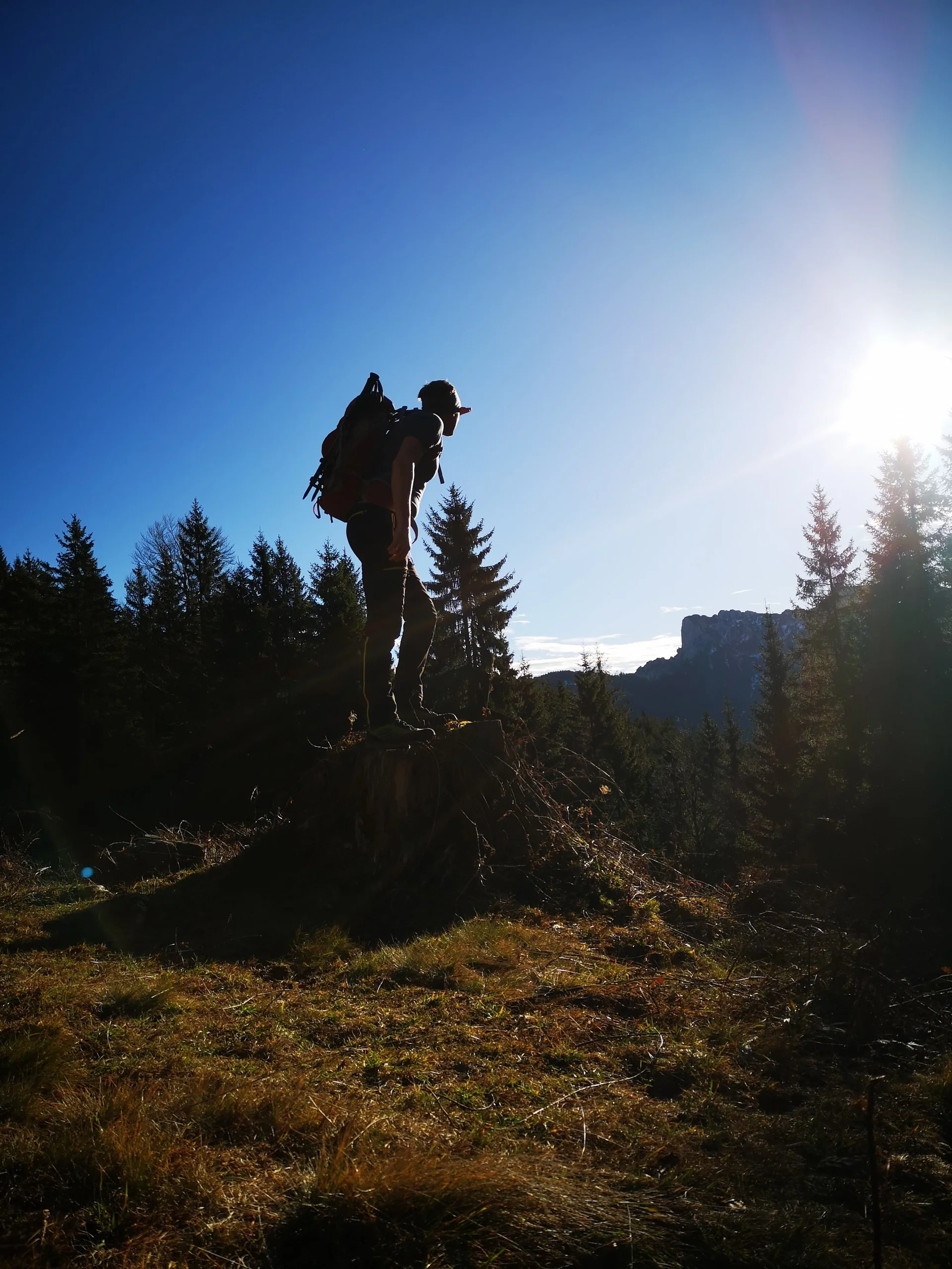 © (DAV Gangkofen) Friedrich Dürrenmatt: Der Wanderer...